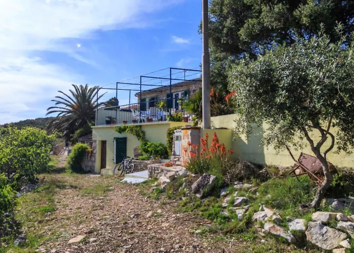 House Paradiso Vis