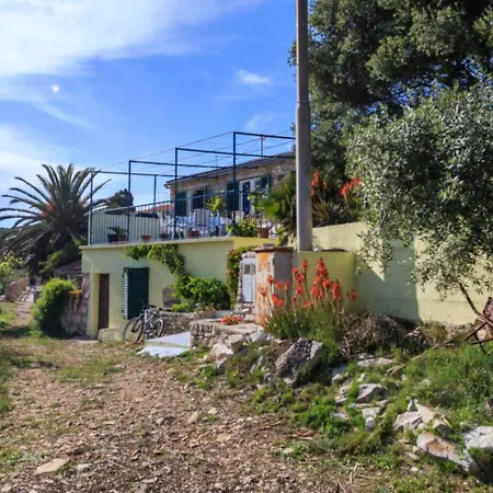 House Paradiso Vis