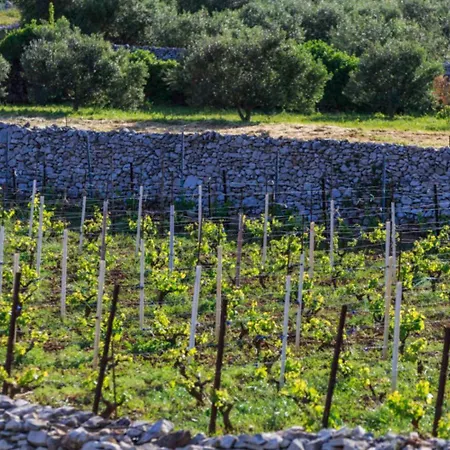 펜션 House Paradiso *