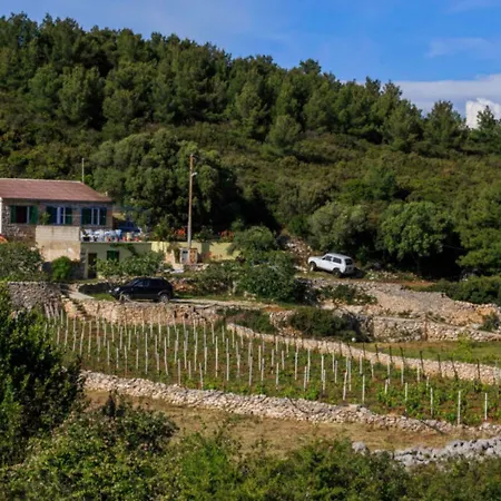House Paradiso بيت للعطل فيس