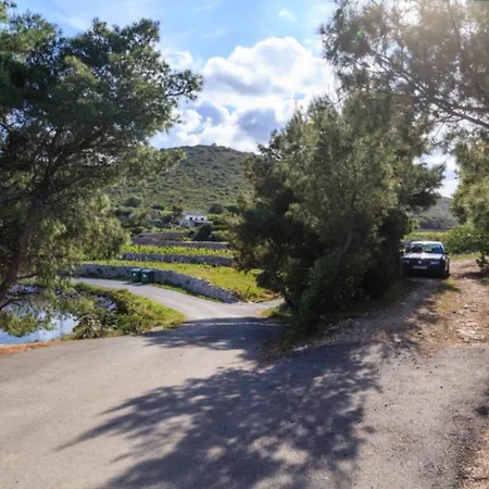 بيت للعطل House Paradiso *