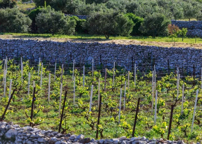 Vakantiehuis House Paradiso *